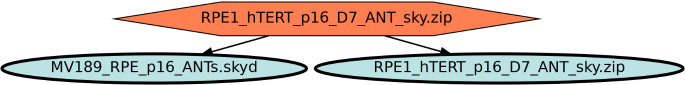 Run Graph